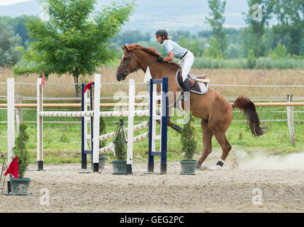 Equestrian Sports, Horse jumping, Show Jumping, Horse Riding Stock Photo