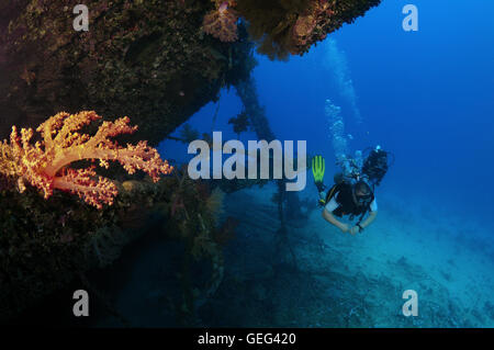 Male scuba diverat the wreck of the Giannis D, Red Sea, Egypt Stock Photo