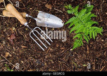 Hand trowel and fork laying on garden compost Stock Photo