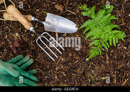 Hand trowel and fork laying on garden compost, with some gloves. Stock Photo
