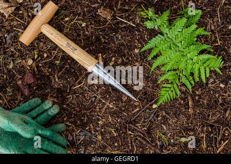 Garden dibber laying on some garden compost, with some gloves. Stock Photo