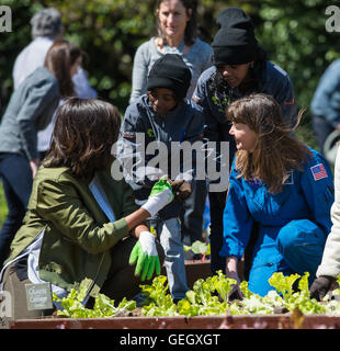 Cady Coleman and First Lady Michelle Obama participate in planting at the White House Kitchen Garden, engaging students in educational activities and promoting healthy eating and gardening. Stock Photo