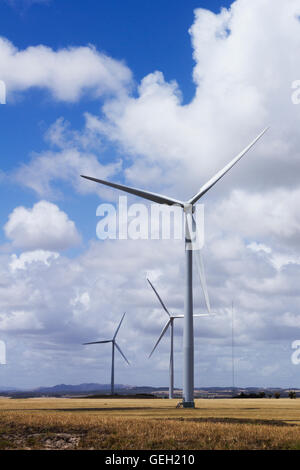 Three Wind turbines on a farm in Eastern Victoria, Australia Stock Photo
