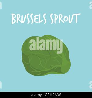 fresh brussels sprout on blue balckground vector illustration Stock Vector
