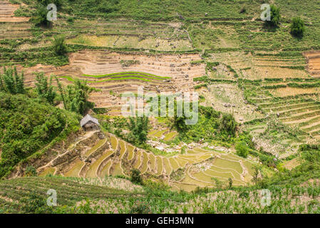 Small wooden hut and traditional rice paddies in Sapa, North Vietnam. Stock Photo