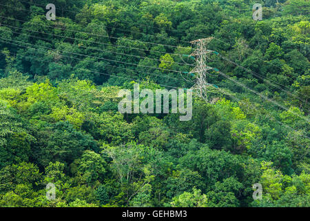 Power lines and tower in a tropical forest 3 Stock Photo - Alamy