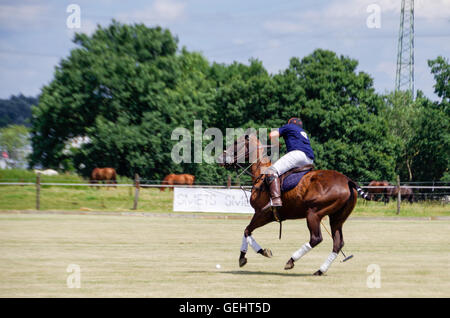 Polo player hitting a ball during a polo tournament in Luxembourg, 2016 Stock Photo