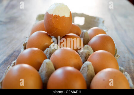 hardboiled egg partly shelled Stock Photo