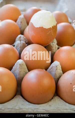 hardboiled egg partly shelled Stock Photo