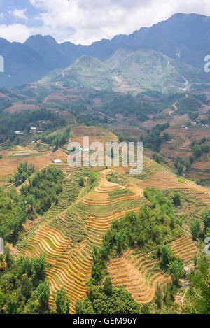 Traditional Vietnamese landscape with mountains and rice paddies in Sapa, North Vietnam. Stock Photo
