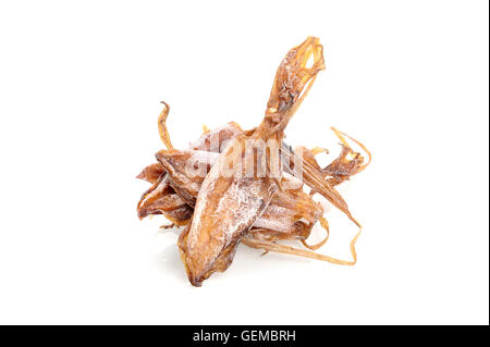 isolate dry squids on white background Stock Photo