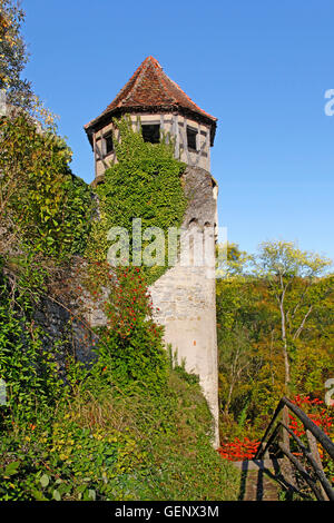 Hornberg Castle, Neckarzimmern, Stock Photo