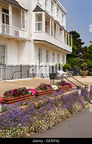 UK, England, Devon, Sidmouth, colourful flowers growing in front of  Fortfield Terrace Stock Photo