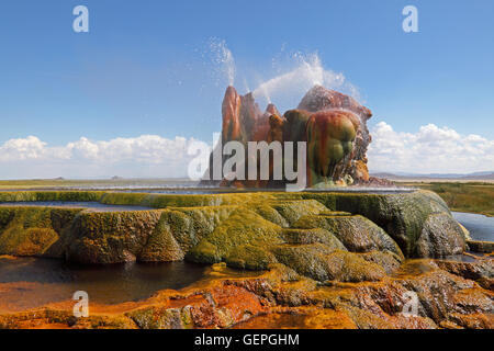 geography / travel, USA, Nevada, Black Rock Desert, Fly Geyser, Gerlach, Stock Photo