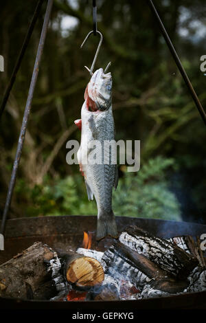 Whole fish grilled over a barbecue. Stock Photo