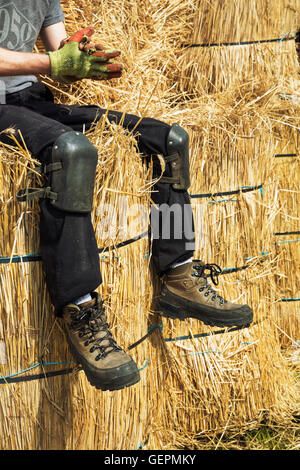 Thatcher wearing kneelers and protective gloves sitting on bundles of straw. Stock Photo
