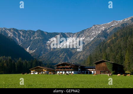 geography / travel, Austria, Tyrol, mountain pasture, Rether Kopf, Achental (valley), Karwendel (mountains), Stock Photo