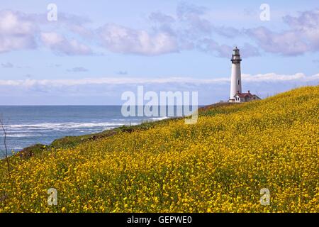 geography / travel, USA, California, Pigeon Point Lighthouse (1872), at Highway No. 1 in the South of Pescadero, Stock Photo