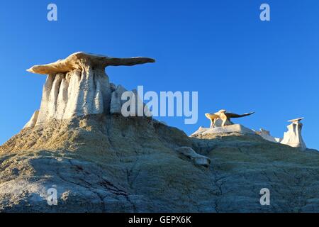 geography / travel, USA, New Mexico, Stonewings, Bisti Wilderness, Farmington, Stock Photo