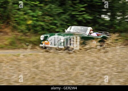 Austin Healey classic car on a summer touring event passing a field of barley Stock Photo