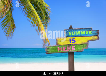 Summer is here written on pastel colored wooden direction signs, beach and palm tree background Stock Photo