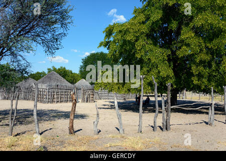 Housing area, Shorobe, Maun, North-West District, Botswana Stock Photo