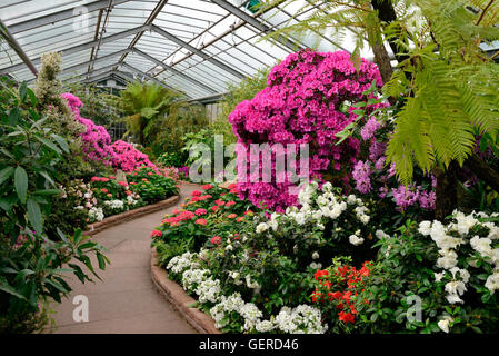 Glasshouse Of Botanical Garden Or Botanischer Garten Berlin With