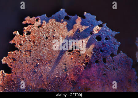rusty piece of metal Stock Photo