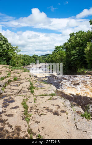 The Beautiful Lower Aysgarth Falls on the River Ure in Wensleydale Yorkshire Dales National Park England United Kingdom UK Stock Photo