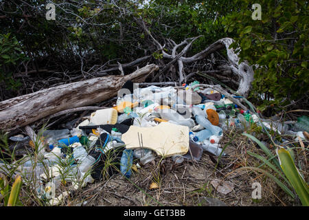 Plastic trash has washed ashore on a remote island in the Caribbean Sea. Plastic can be harmful once in marine ecosystems. Stock Photo