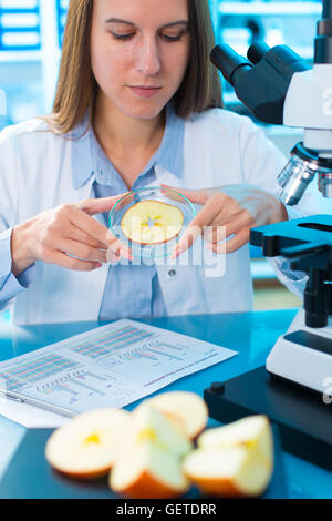 Inspection of fruits and vegetables for harmful substances Stock Photo