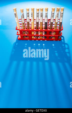 agricultural grains and legumes in the laboratory. Stock Photo