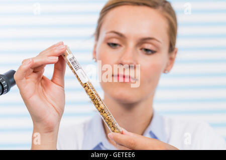 Research seed in Laboratory Stock Photo