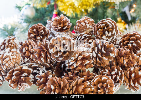 Cluster of decorative pine cones flecked with white Stock Photo