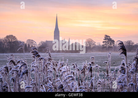 Salisbury Cathedral viewed from across the Harnham Water Meadows at sunrise. Stock Photo