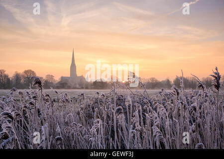 Salisbury Cathedral viewed from across the Harnham Water Meadows at sunrise. Stock Photo