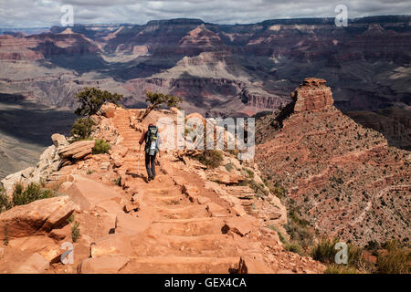 Hiker walking into the Grand Canyon, from the South Rim to the Colorado River, on the South Kaibab Trail Stock Photo