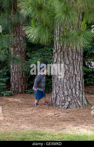 young boy, playing, hide-and-seek, Sonoma State University, city, Rohnert Park, Sonoma County, California Stock Photo