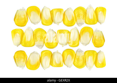 Rows of Fresh Sweet Corn Kernels on White Background Stock Photo