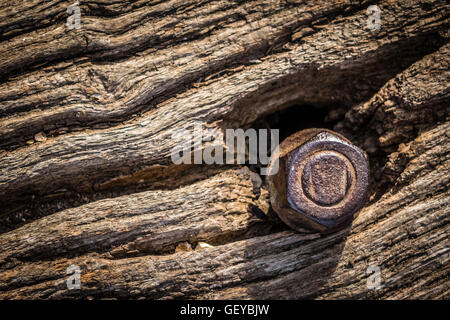 Closeup of an old rusted screw in a grunge wooden background Stock Photo