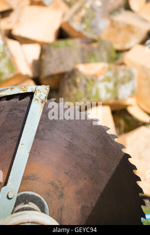 Circular saw sawing tree trunks into logs at New Forest & Hampshire County Show, Brockenhurst in July Stock Photo