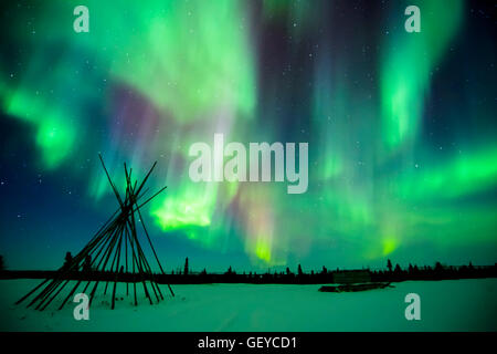 Nightsky and tentpoles lit up with aurora borealis, northern lights, wapusk national park, Manitoba, Canada. Stock Photo