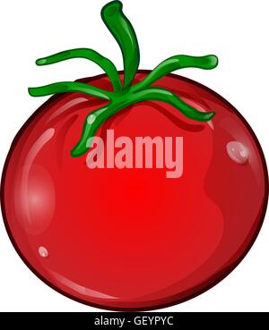 tomato cartoon isolated on white background Stock Vector