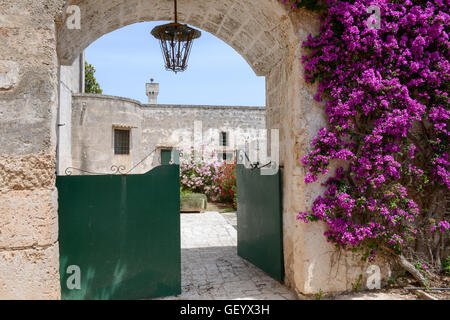 Entrance door of a rural house on Puglia, Italy Stock Photo