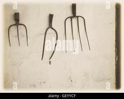 Rustic Pitchforks hanging on the wall of a barnyard on a farm in Fuerteventura, Spain Stock Photo