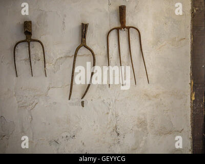 Rustic Pitchforks hanging on the wall of a barnyard on a farm in Fuerteventura, Spain Stock Photo