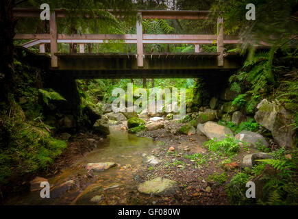 Wooden bridge over small stream in the beautiful tropical rainforest near the hot springs of Caldeira Velha On Sao Miguel Island Stock Photo