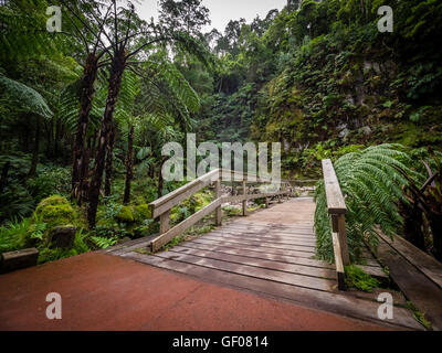 Wooden bridge over small stream in the beautiful tropical rainforest near the hot springs of Caldeira Velha On Sao Miguel Island Stock Photo