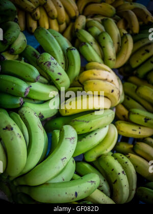 Big bunch of bananas on sale in the market in Ponta Delgada, Sao Miguel, Azores, Portugal Stock Photo