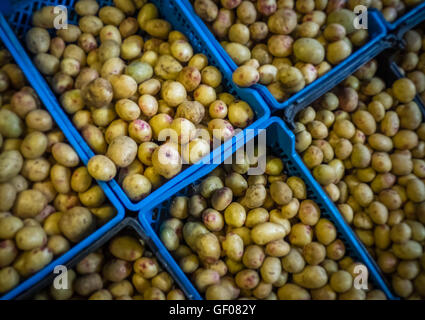 A pile of potatoes on sale on a market in Ponta Delgada, Azores, Porugal Stock Photo